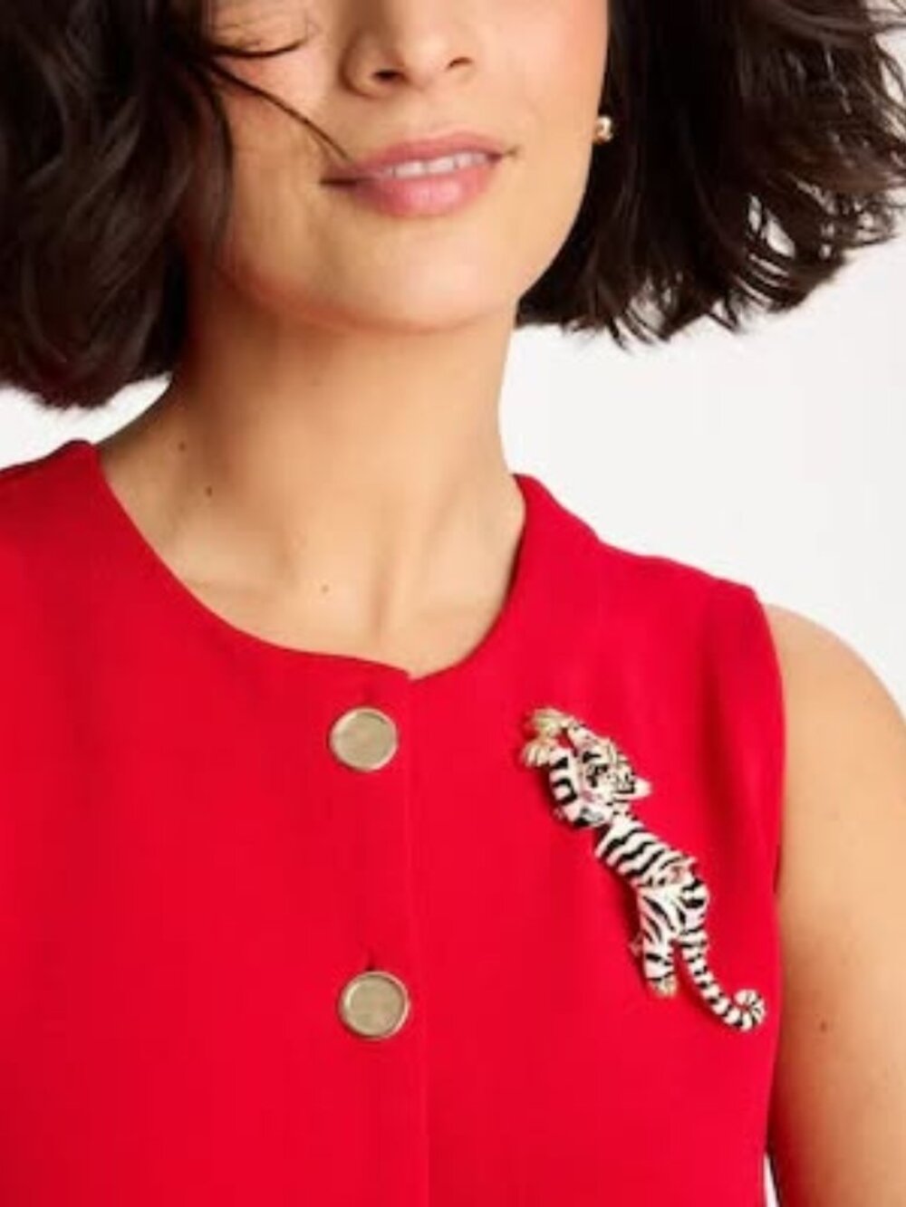 nwt chico's Tiger Brooch